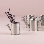 Miniature Watering Cans