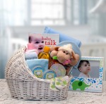 Baby Shower Gift Baskets