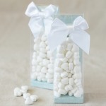 Clear Tall Favor Bags