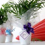 Mini Palm Plant Favors