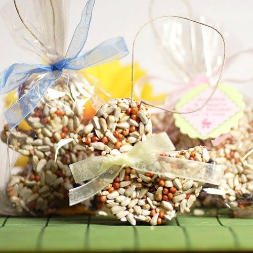 Bird Seed Party Favors