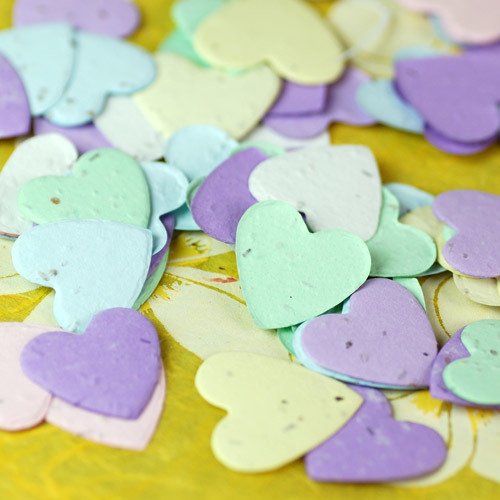 Plantable Heart Shaped Confetti