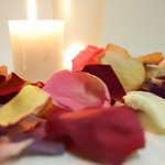 Freeze Dried Rose Petals