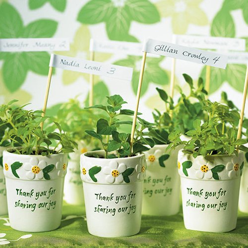 Miniature Flower Pots