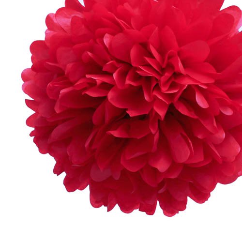 Tissue Paper Pom Poms