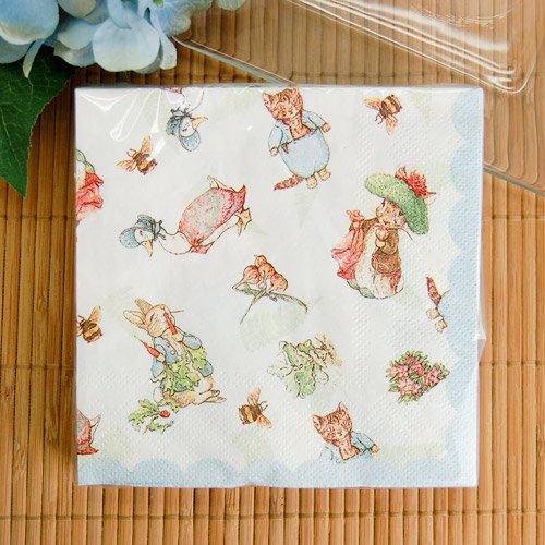 Peter Rabbit Party 5