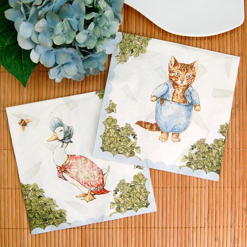 Peter Rabbit Party 6.5