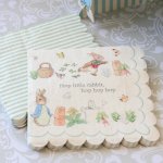 Peter Rabbit Party 7