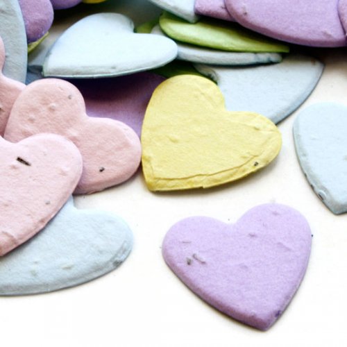 Heart Shaped Plantable Confetti