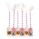 Leopard & Love Baby Pink Cake Pop Kit