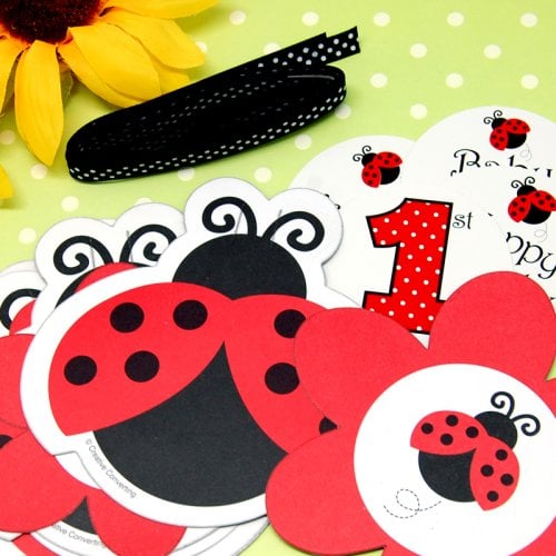 Ladybug Fancy Party Banner