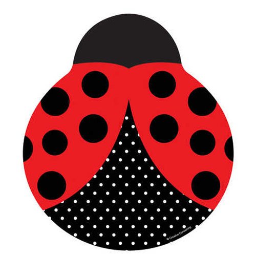 Ladybug Fancy 9