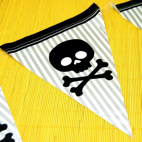 Pirate Parrty Flag Banner