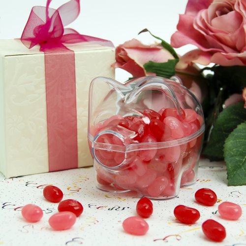 Clear Acrylic Piggy Bank Favor Box