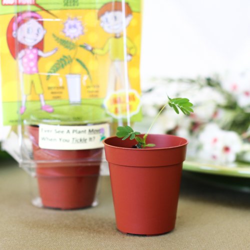 Tickle Me Plant Party Favor