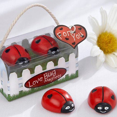 Ladybug Magnets Favor