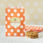 Personalized Baby Shower Pattern Goodie Bags