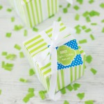 Personalized Birthday Themed Favor Tags