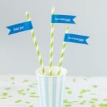 Personalized Birthday Themed Flag Labels with Straws