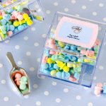 Personalized Baby Candy Bin and Scoop Favor