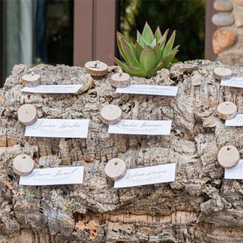 Mini Birch Wood Slices