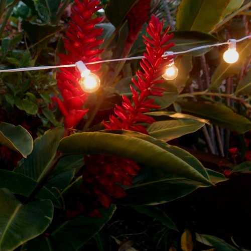 Globe String Lights