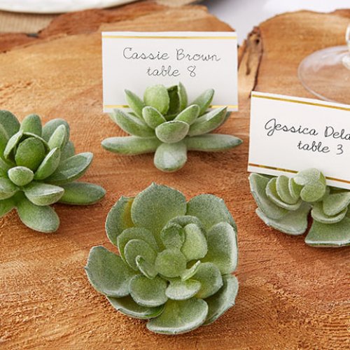 Succulent Place Card Holder