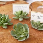 Succulent Place Card Holder