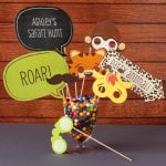 Personalized Birthday Photo Booth Props