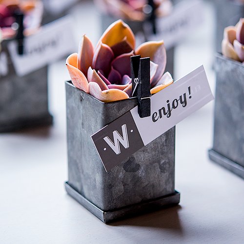 Mini Tin Favor Boxes