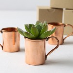 Mini Copper Moscow Mule Mugs