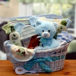 Organic Baby Gift Basket