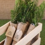 Evergreen Tree Seedling Favor with Personalized Tag