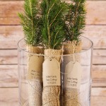 Evergreen Tree Seedling Favor with Personalized Tag