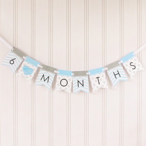 Baby's First Year Photo Banner