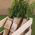 Evergreen Tree Seedling Favor with Personalized Tag