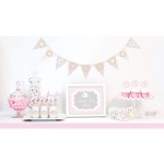 Pink Elephant Baby Shower Kit