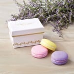 Macaron Soap Favor