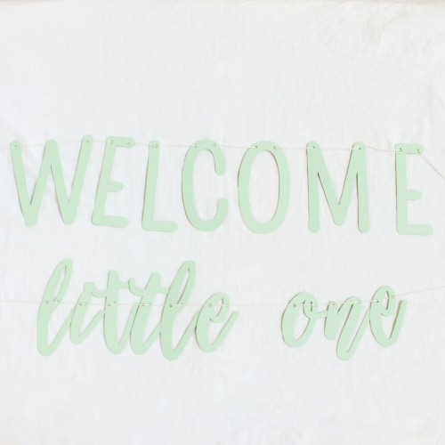 Custom Baby Shower Banner