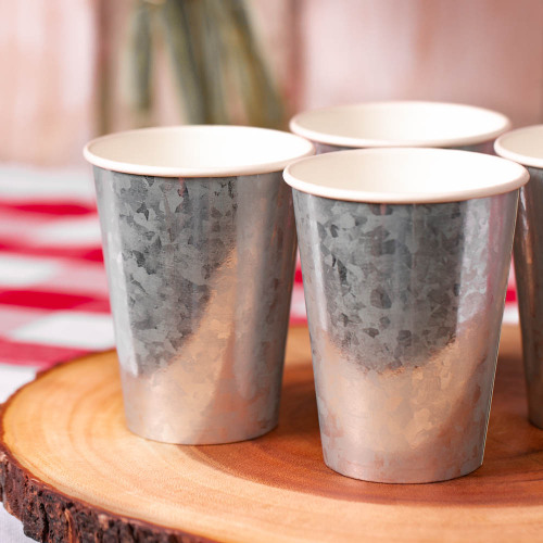 Galvanized Hot/Cold Paper Cup