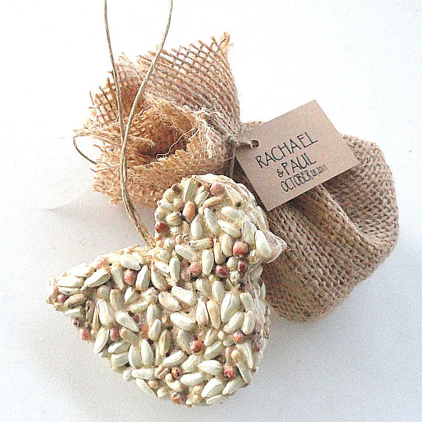 Ecofriendly bird seed party favors, birdseed wedding favors