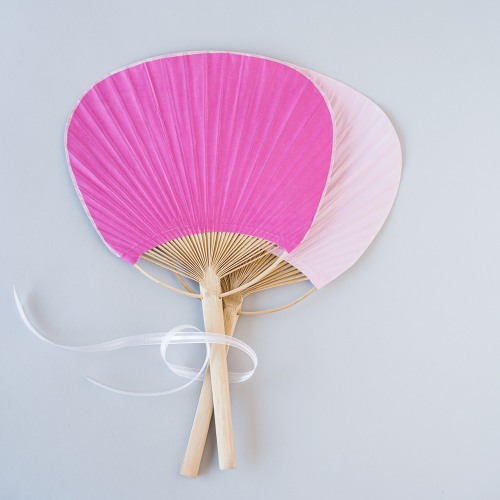 Color Paddle Fan