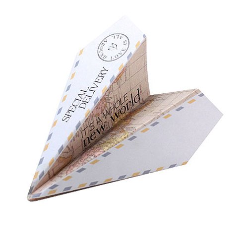 Paper Airplane Wishing Well Notes