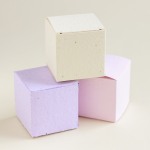Wedding Favour Plantable Seed Favor Box